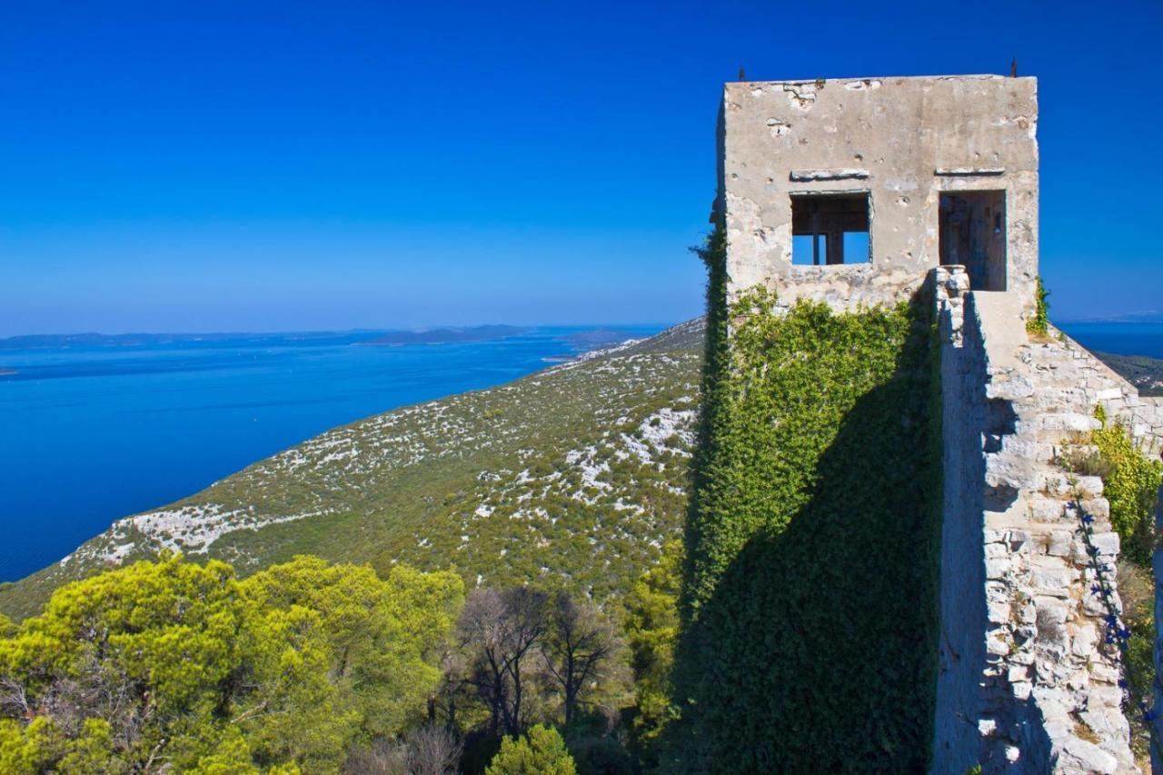 Studio Apartment In Preko With Sea View, Terrace, Air Conditioning, Wi-Fi Экстерьер фото
